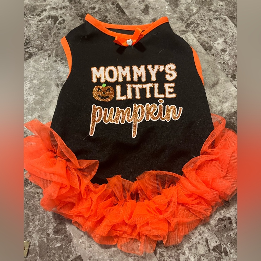 Adorable Doggie Pumpkin Dress. Size shown only worn once